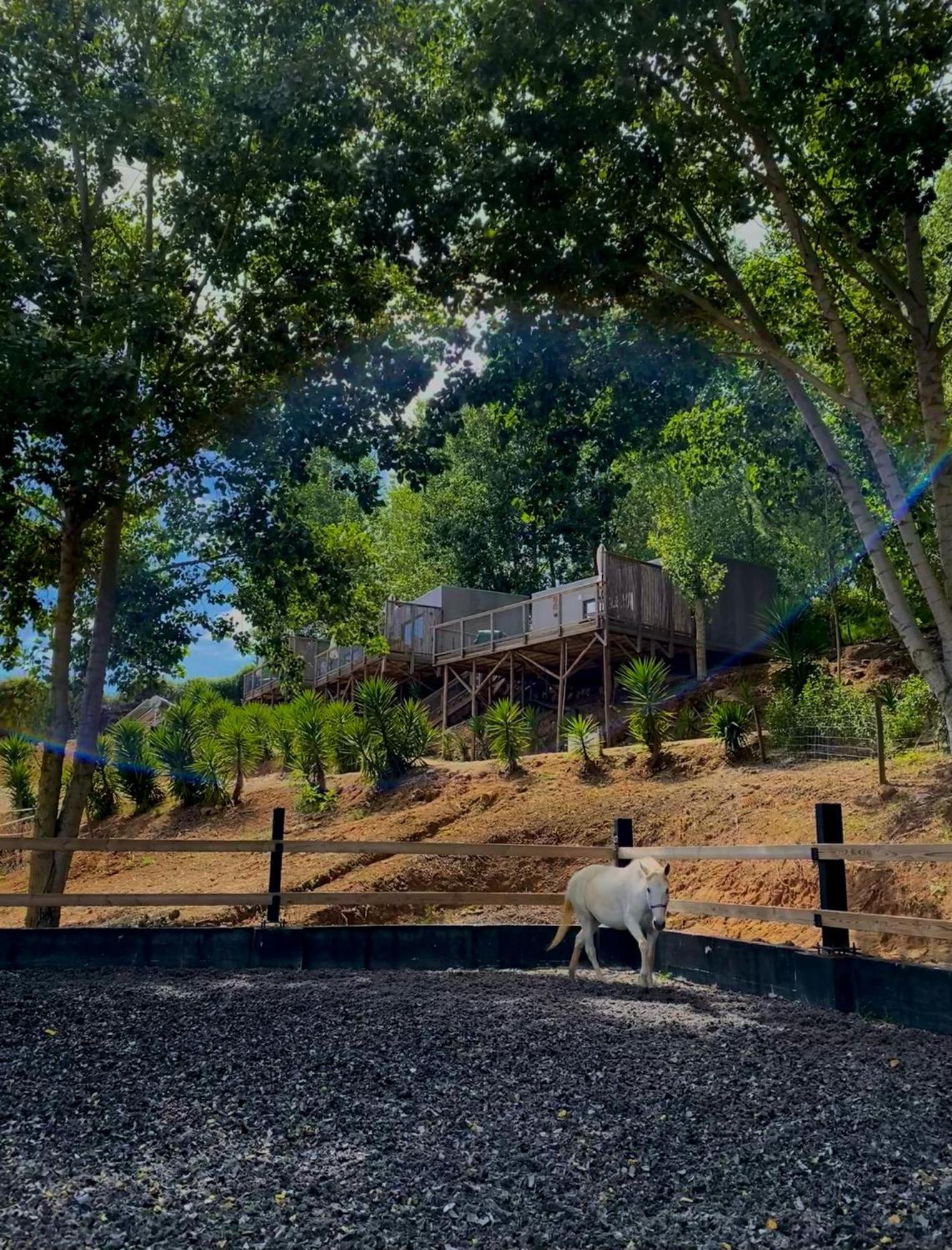 Equinatura - Silver Coast Caldas Da Rainha Exterior photo